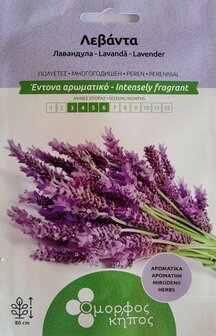 Greek Lavender Seed